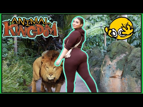 Animal Kingdom Part 1