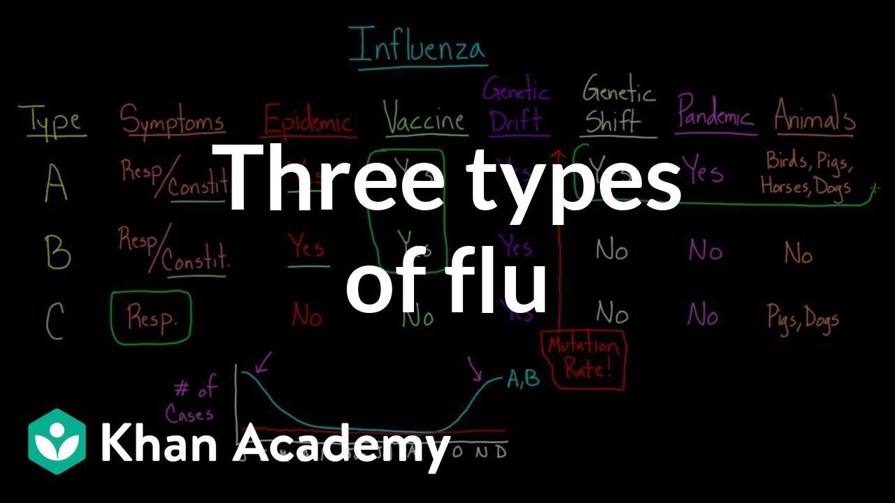 THREE TYPES OF FLU | INFECTİOUS DİSEASES | HEALTH  MEDİCİNE | KHAN ACADEMY