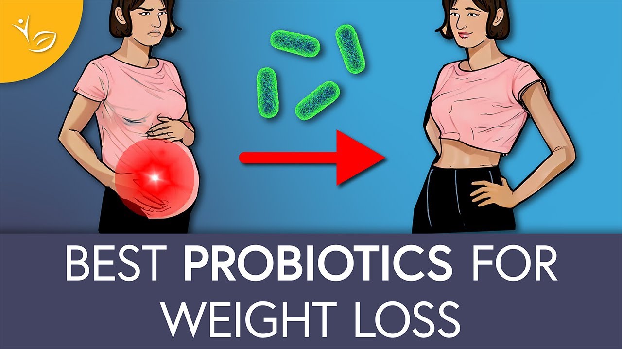 TOP PROBİOTİC STRAİNS FOR WEİGHT LOSS