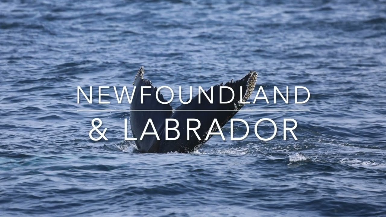 Newfoundland Tour with St. Pierre & Miquelon