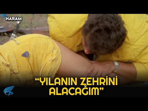 haram türk filmi | hülya'yı yılan ısırıyor!