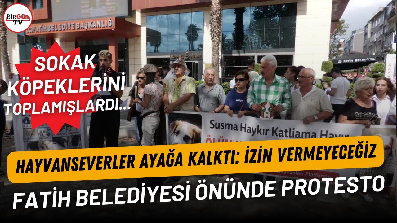 Halk  sokakta yaşayan köpekleri toplayan Fatih Belediyesi'ni protesto etti