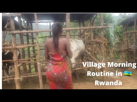 Village life in  Rwanda / African Village girl's Morning Routine. #africa #village #trending
