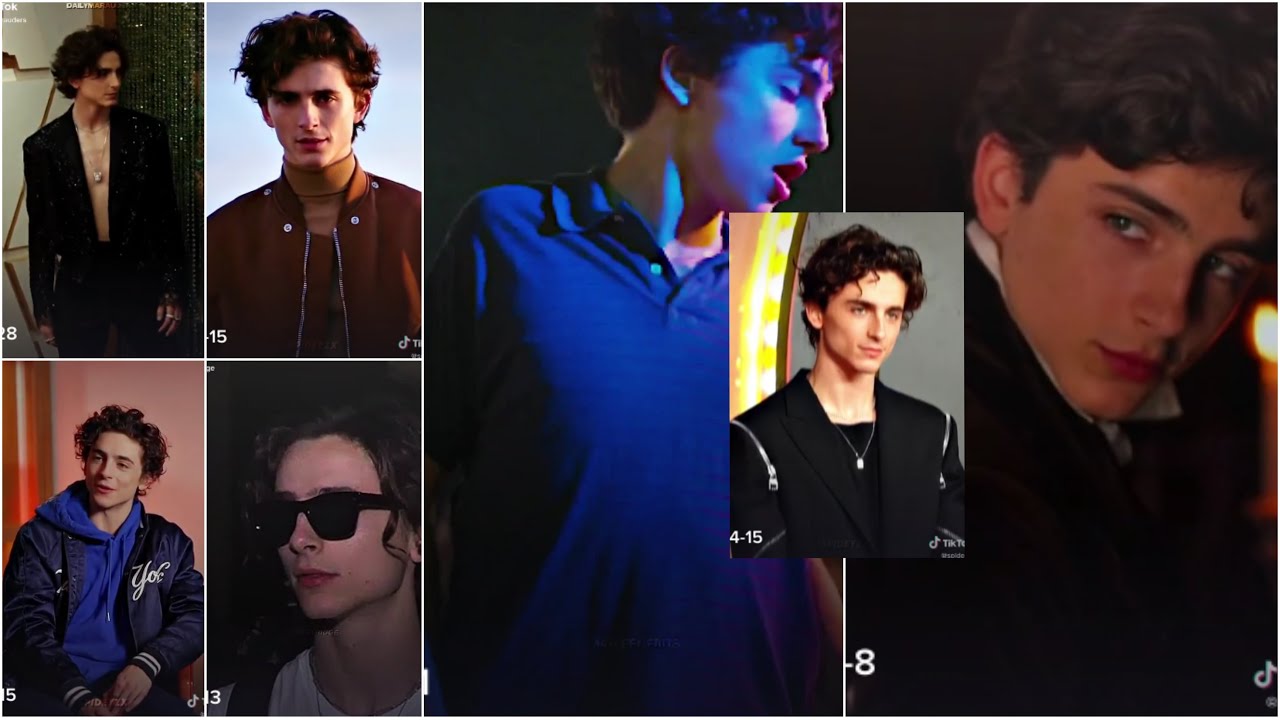 timothée chalamet