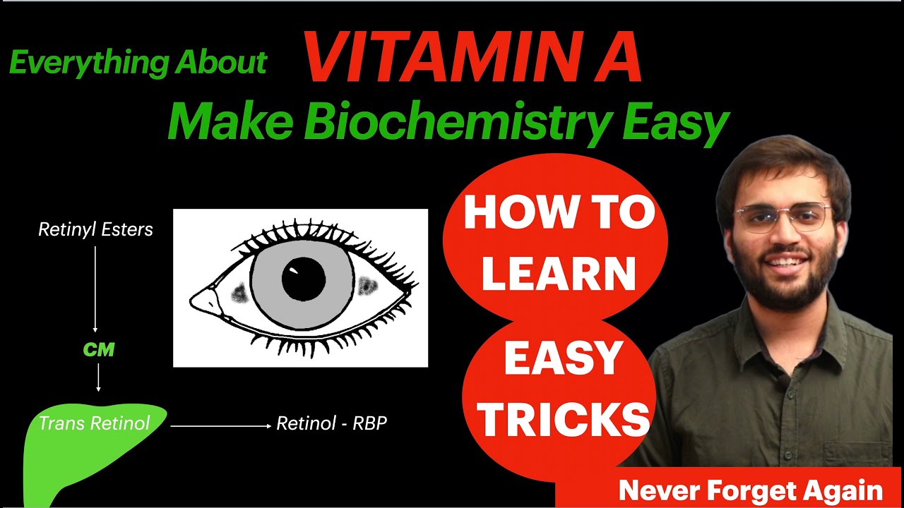 Vitamin A Biochemistry | Transport, Functions, Deficiency | Vitamins