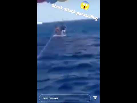 GRAPHİC: GİANT SHARK ATTACKS MAN PARASAİLİNG İN AQABA, JORDAN