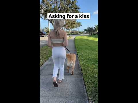 Asking her for a kiss #shorts