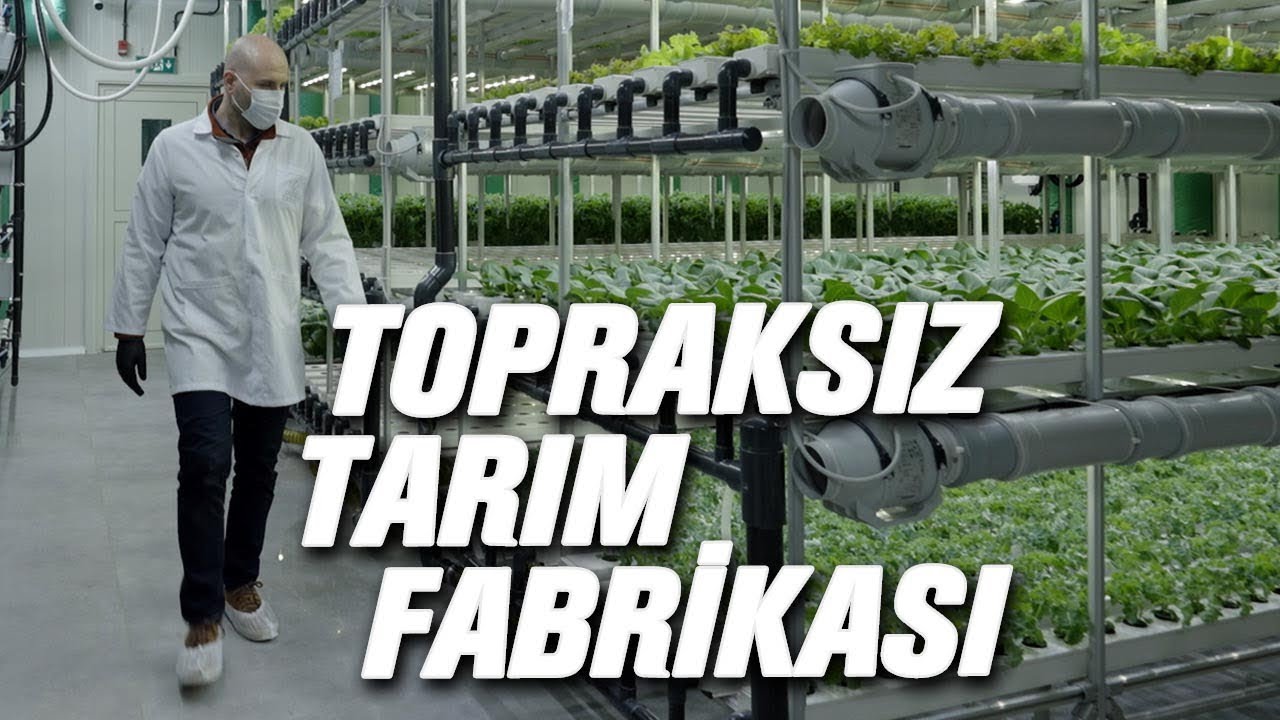 Sermayemiz Bile Yoktu | Türkiye’nin İlk Sebze Fabrikası