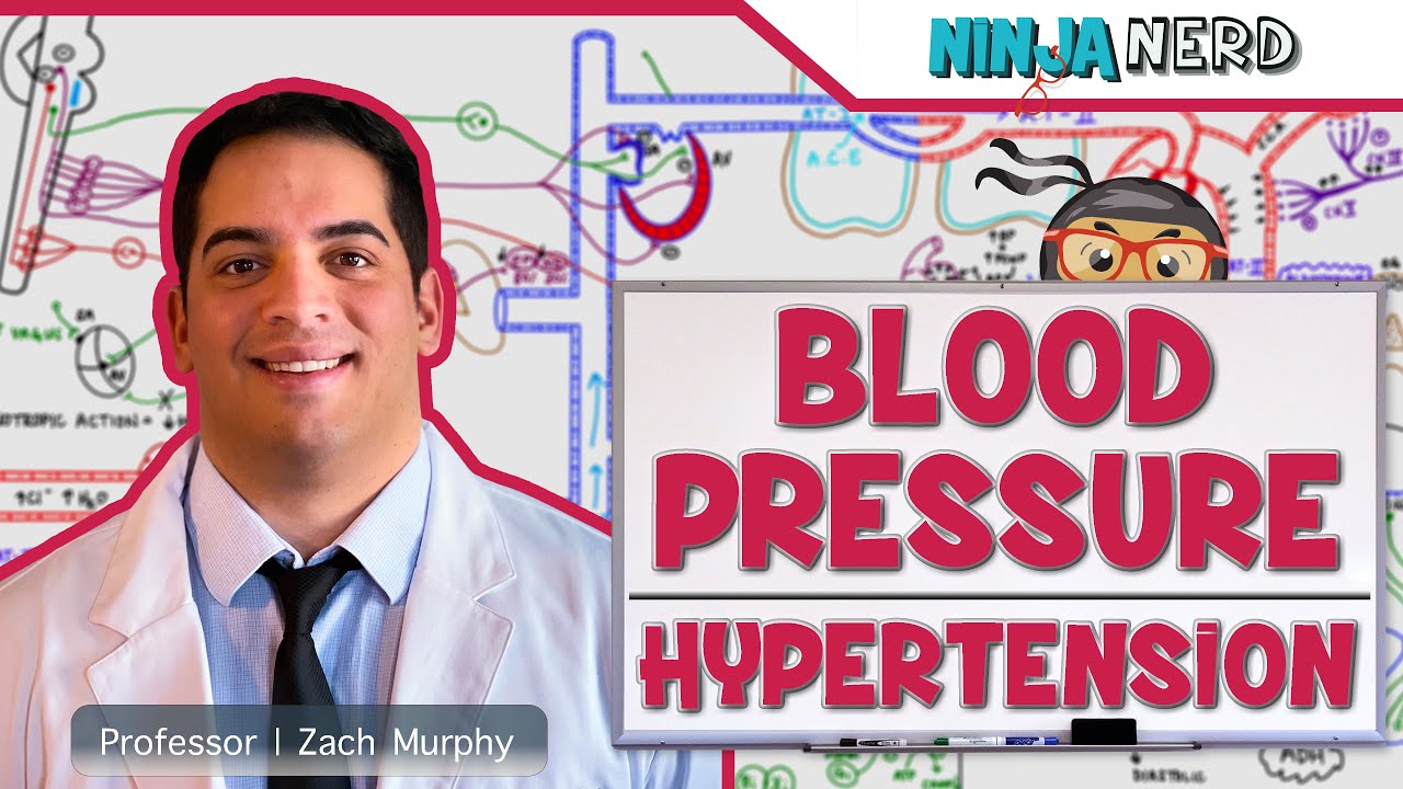 Cardiovascular | Blood Pressure Regulation | Hypertension