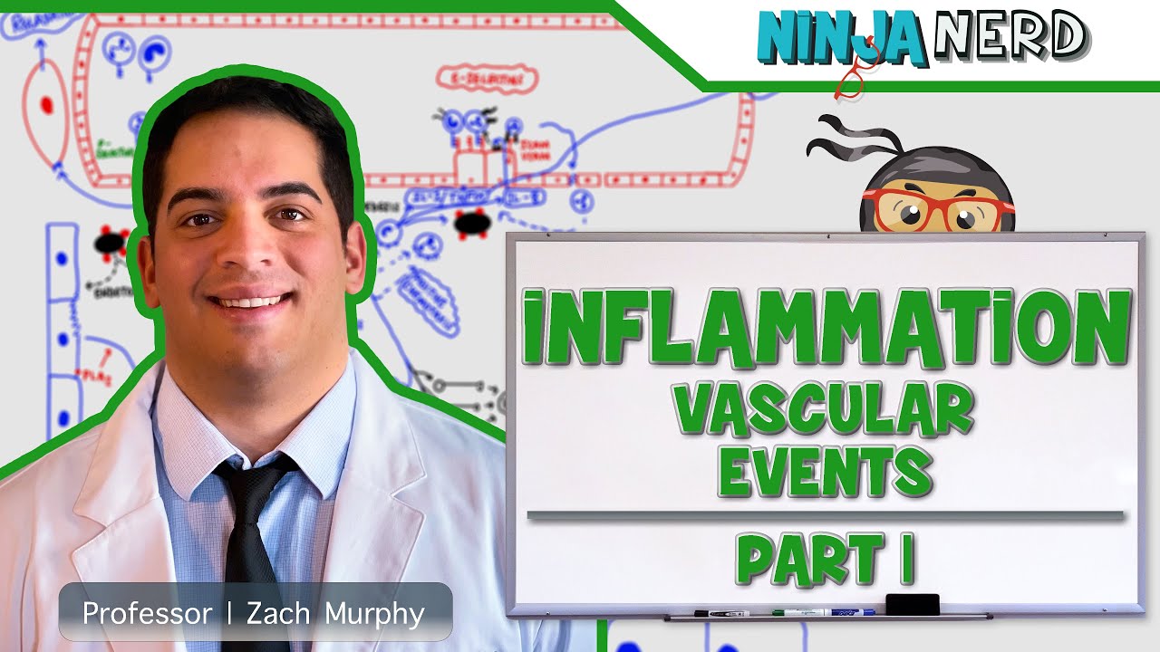 Immunology | Inflammation: Vascular Events: Part 1