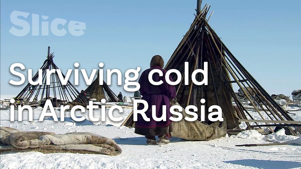 Building a chum with Siberia’s Nenets nomads | SLICE
