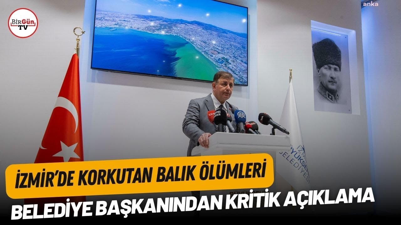 İzmir’de korkutan balık ölümleri