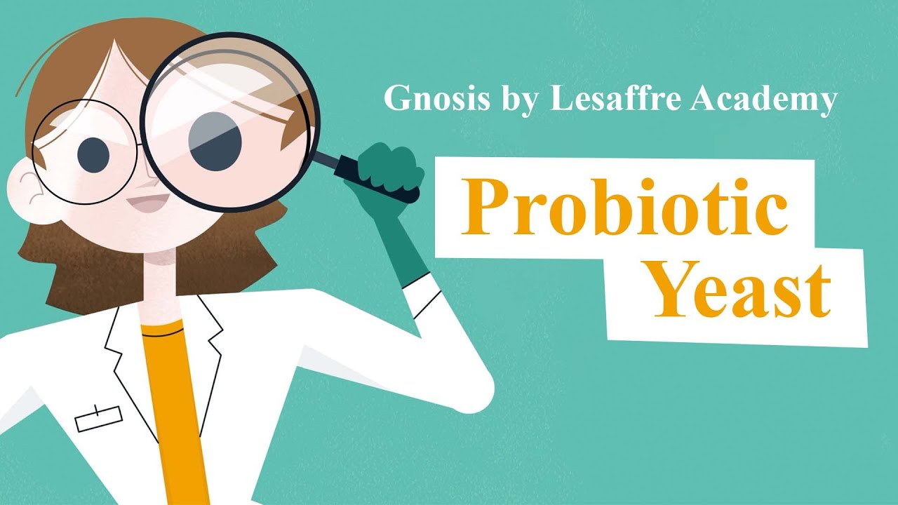 Gnosis by Lesaffre Academy - Probiotic Yeast