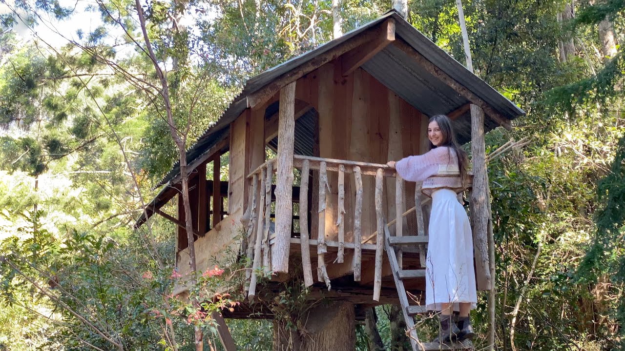 My Treehouse in the Rainforest: Living in an Off Grid Cabin