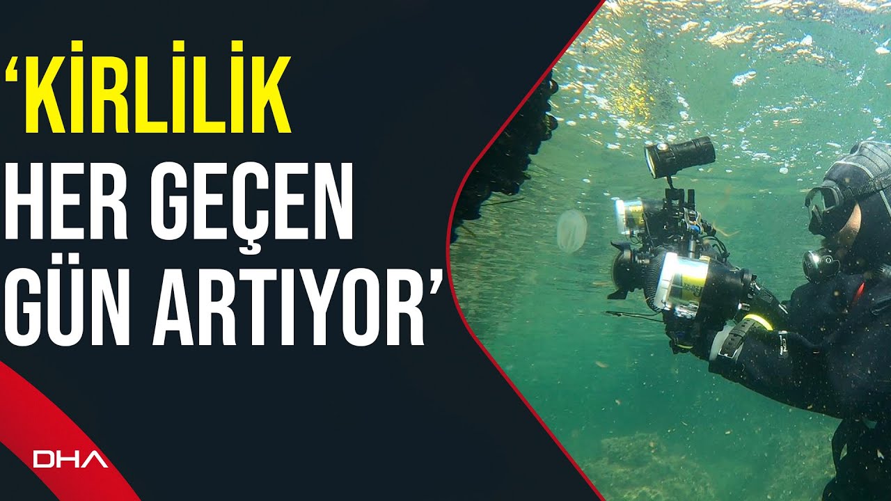 Prof. Dr. Sarı: Önlem alınmazsa Marmara Denizi yararlanılamaz hale gelir