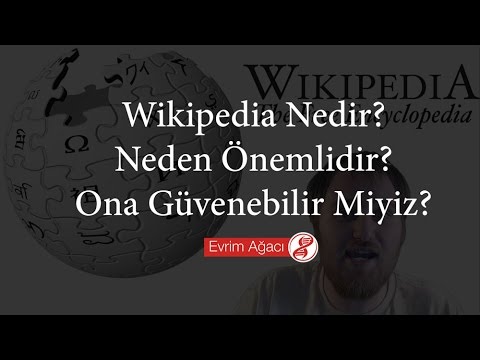Wikipedia Nedir? Neden Önemlidir? Ona Güvenebilir Miyiz?