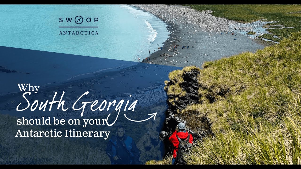 WHY SOUTH GEORGİA SHOULD BE ON YOUR ANTARCTİC İTİNERARY