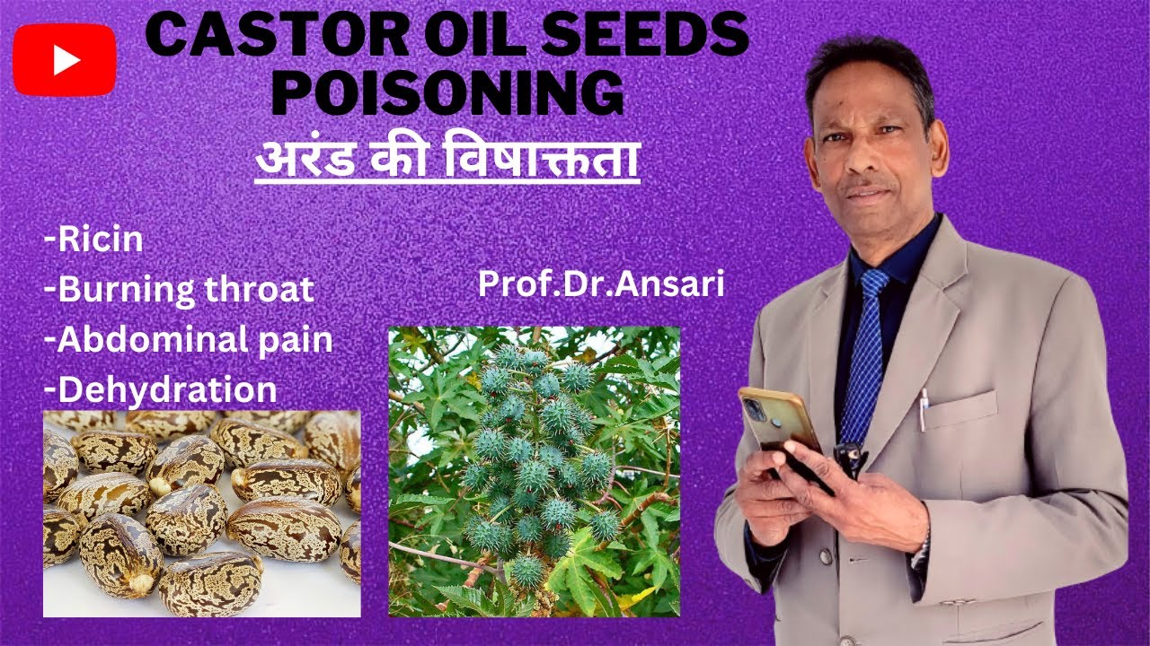 Castor oil seeds poisoning   Ricin   Burning throat   Abdominal pain   Dehydration   Toxicology