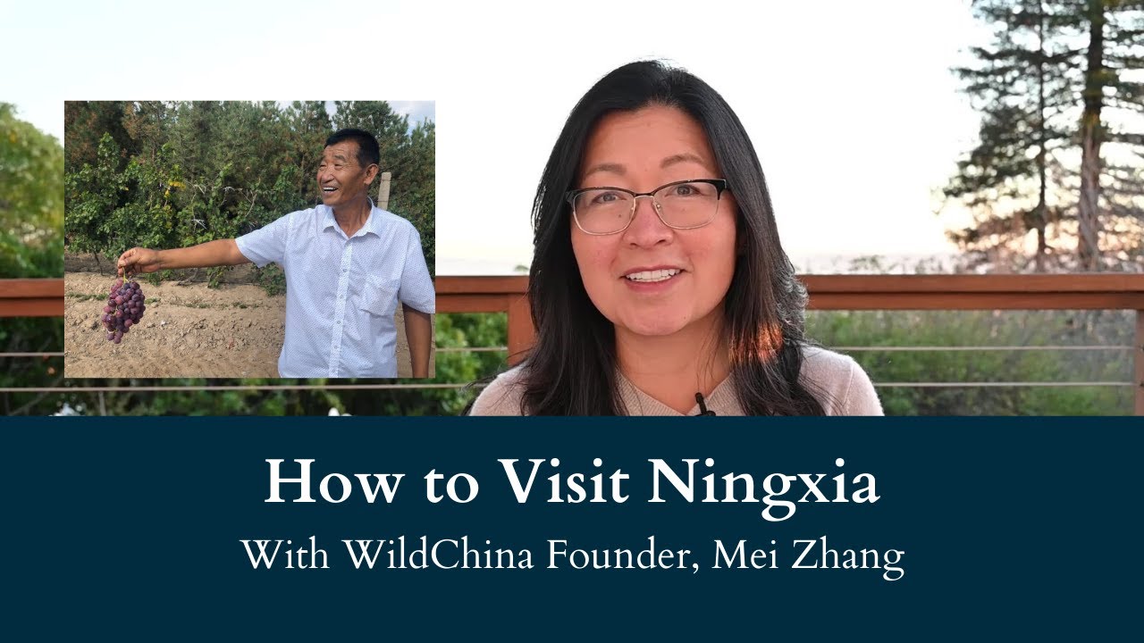 HOW TO VİSİT NİNGXİA WİTH WİLDCHİNA FOUNDER, MEİ ZHANG