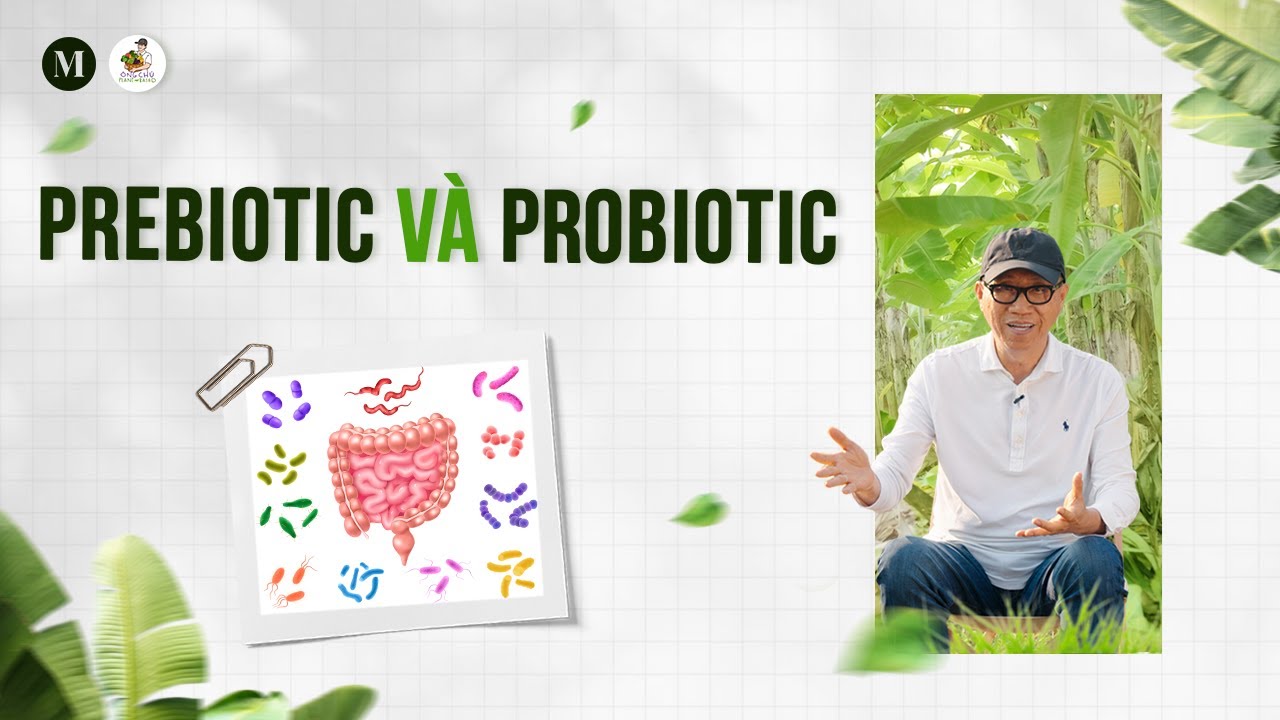 #18 Probiotic và Prebiotic là gì? | Ông Chú Plant-Based