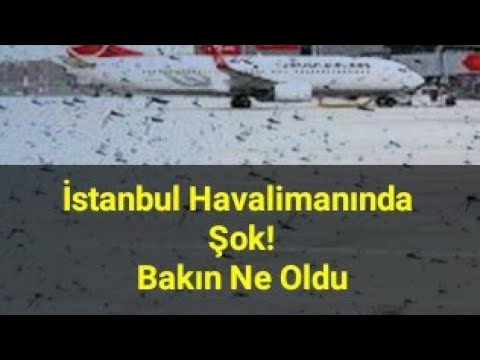 istanbul havaalanı