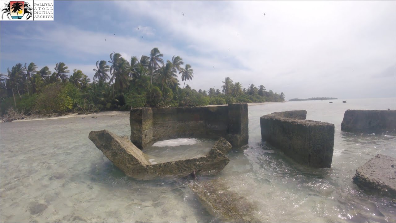 Palmyra Atoll Research Trip Highlights