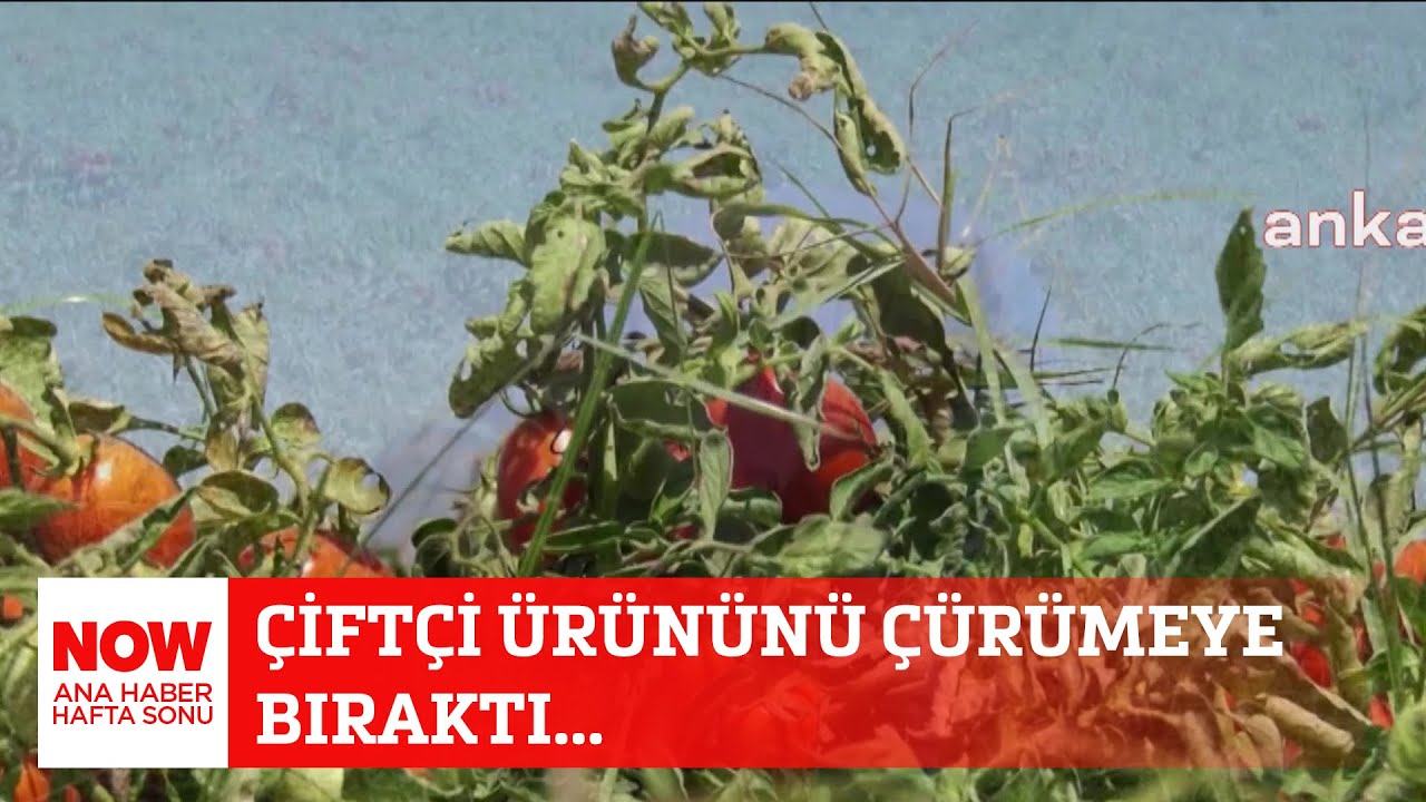 çiftçi