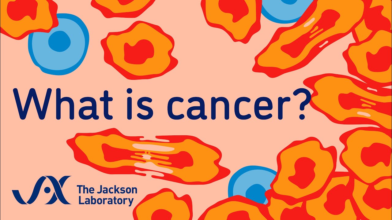 What is cancer? | Animation | Minute to Understanding