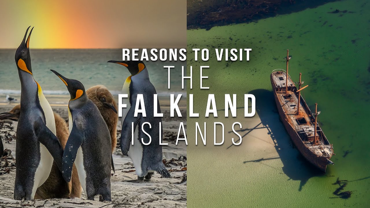 FALKLAND ISLANDS THİNGS TO DO - WHY VİSİT THE FALKLAND ISLANDS?
