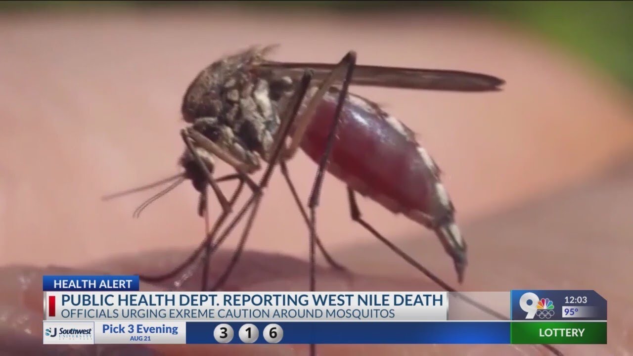 first-west-nile-virus-death-reported-in-el-paso-this-year