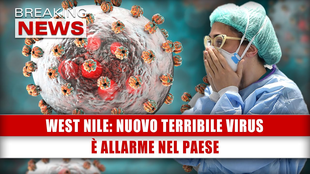 West Nile  Nuovo Terribile Virus: È Allarme Nel Paese