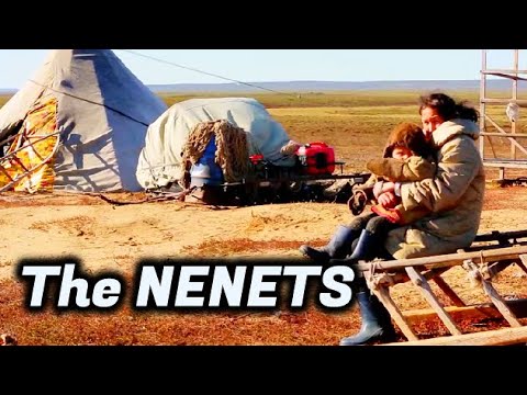 HOW DO NENETS LİVE — BLOOD-DRİNKİNG NOMADS OF THE NORTHERN ARCTİC