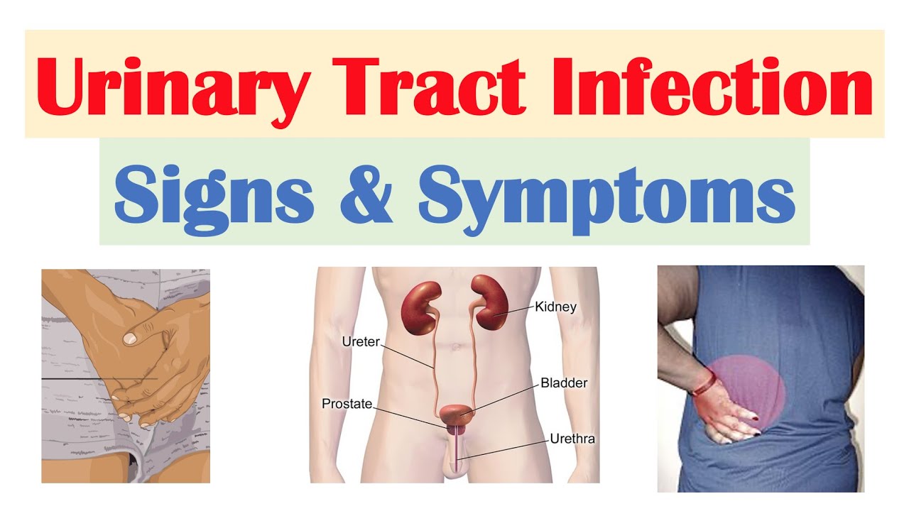 urinary-tract-infection-uti