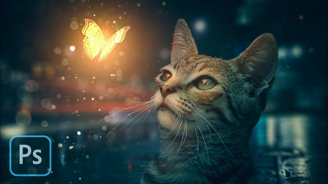 Cat Butterfly Manipulation Photoshop Tutorial