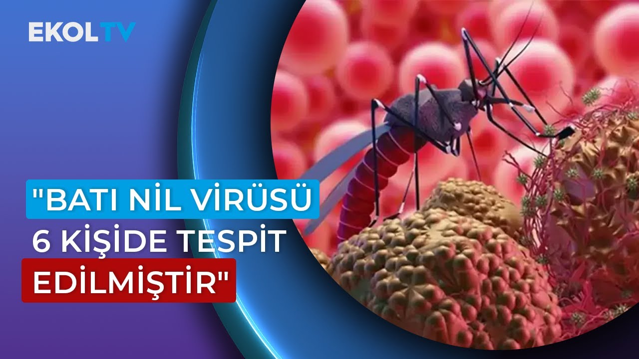 west nile virus