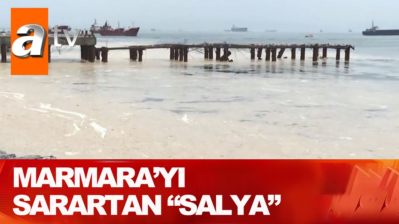 Marmara Denizi’nde 'salya' tehdidi - Atv Haber 3 Mayıs 2021