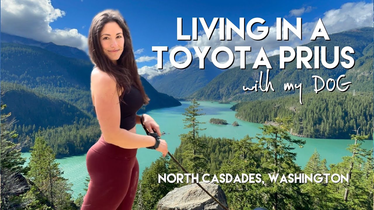 LIVING in a PRIUS: Deep in the Wilderness - Foraging WILD Mushrooms, EPIC Hiking  Sport Climbing!