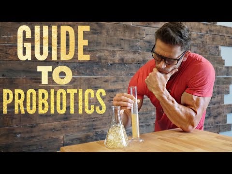 Probiotics Guide: How to Pick the Right Probiotic- Gut Bacteria Overview | Thomas DeLauer