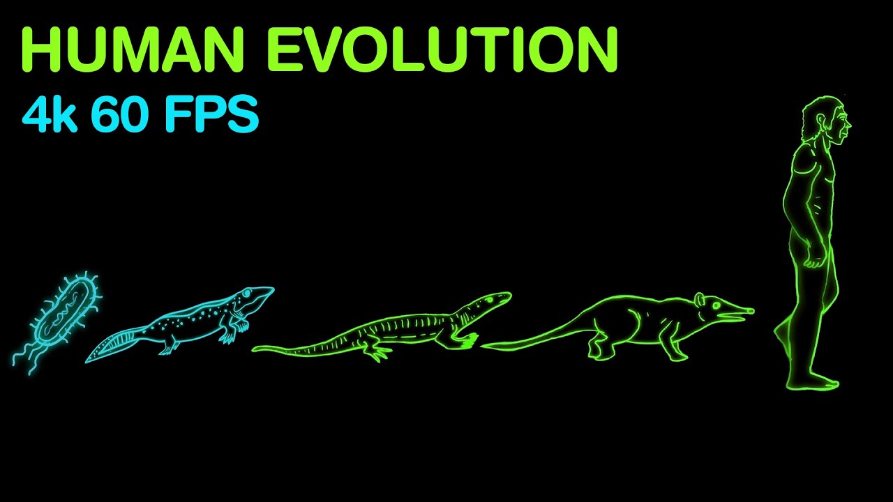 human-evolution-in-a-nutshell-4k-60fps