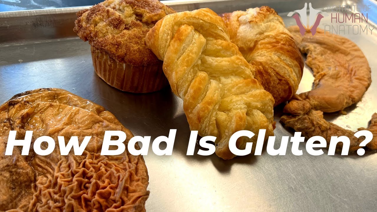 THE TRUTH ABOUT GLUTEN