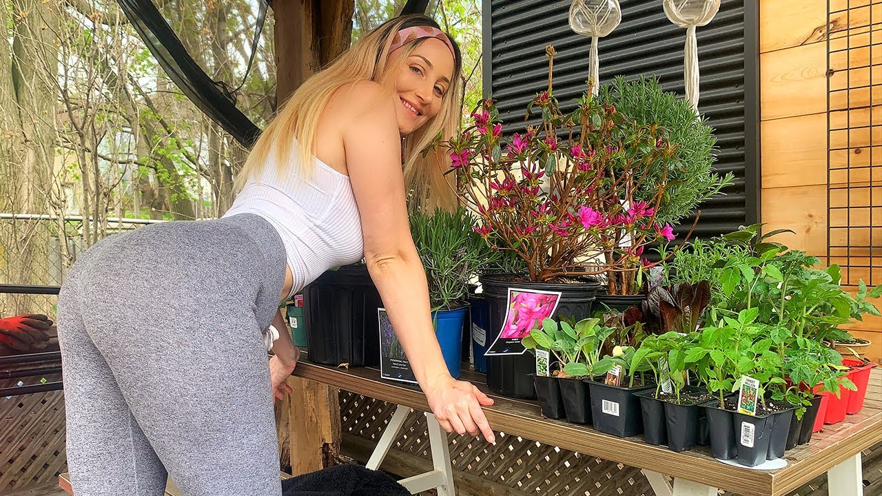EPIC Spring Garden/Plant Haul! New veggies and flowers for my garden! I HOLLY WOLF