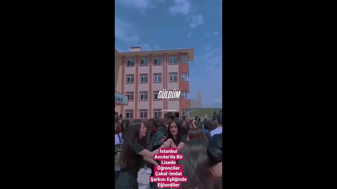 İstanbul Avcılar'da Lisede Öğrenciler Çakal İmdat Şarkısı Eşliğinde Eğlendiler #shorts #çakal #imdat