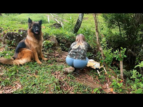 ASMR OUTDOOR - COOKİNG İN NATURE WİTH MY DOG