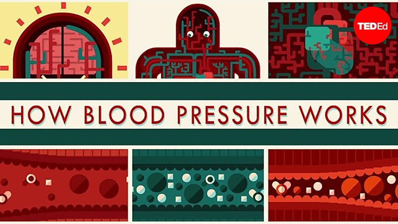HOW BLOOD PRESSURE WORKS - WİLFRED MANZANO