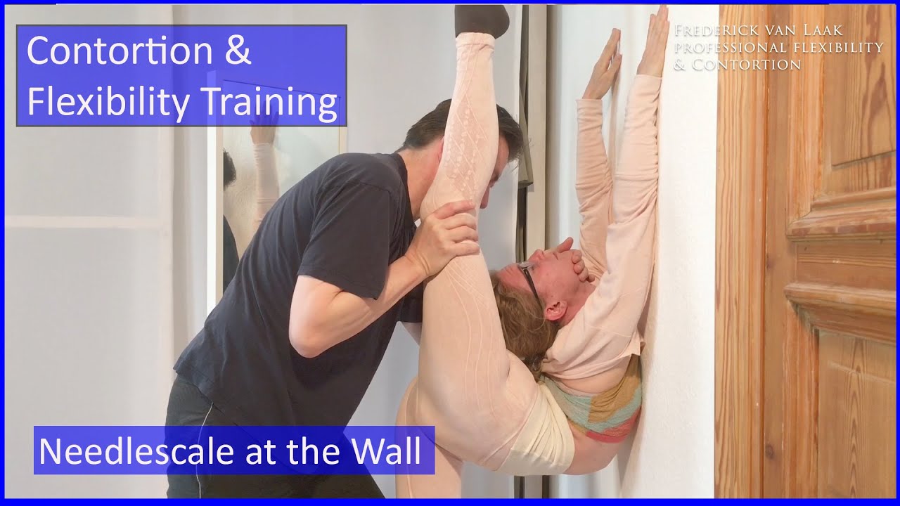 55 Flexyart Contortion Training: Using the Wall  - Also for Yoga, Pole, Ballet, Dance People