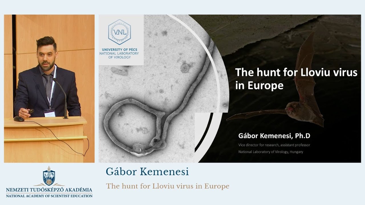 Gábor Kemenesi - The hunt for Lloviu virus in Europe
