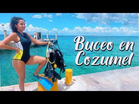 BUCEO en COZUMEL MEJORES lugares en el MUNDO para bucear Hotel y Buceo  DIVING I Brenda Catalán