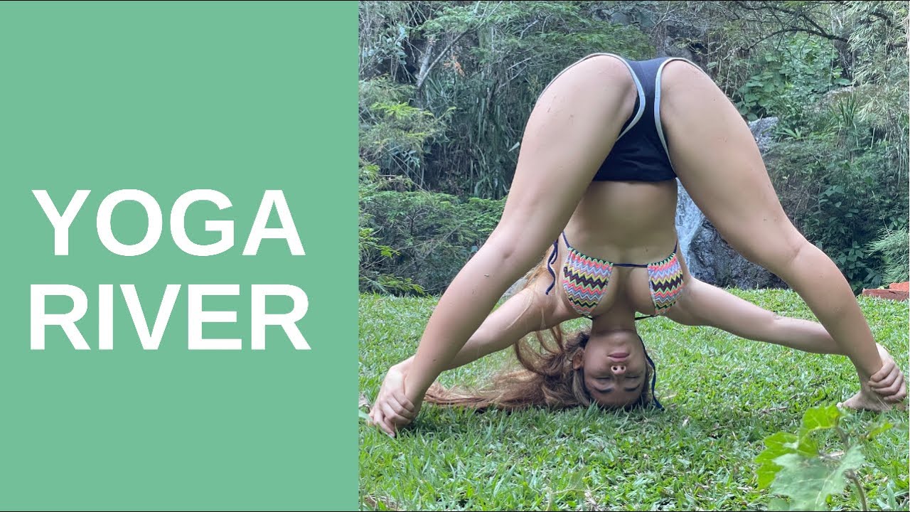 yogi cath
