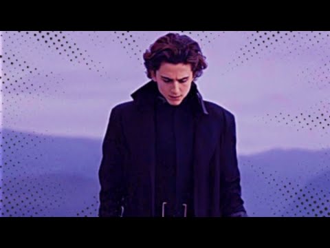 timothée chalamet hot edits     