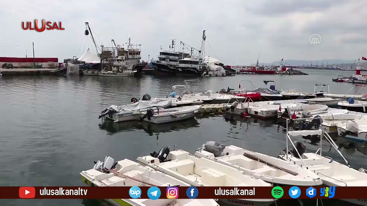 Çevre ve Şehircilik Bakanlığı Marmara Denizi'ndeki deniz salyası için harekete geçti